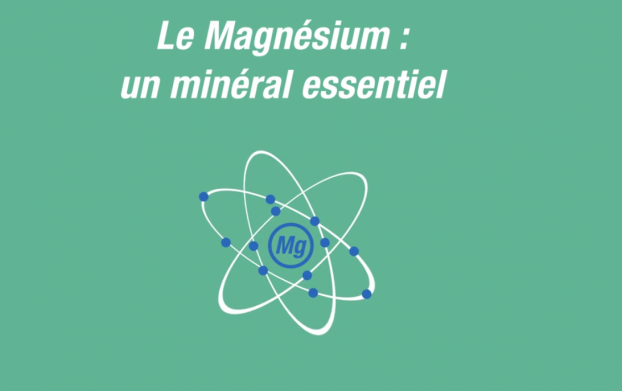 Le magnésium : un minéral essentiel