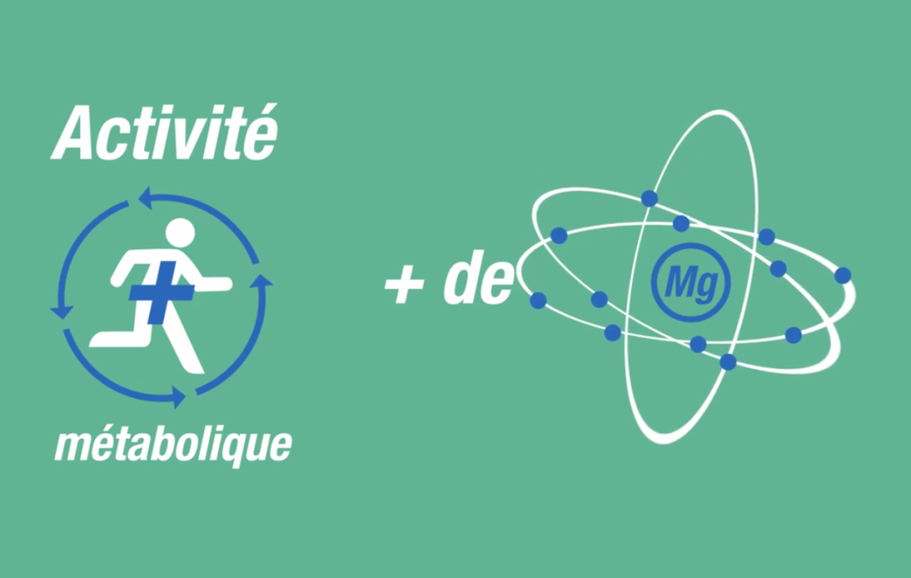 Activité physique et magnésium