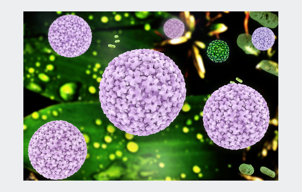 Un nouveau test de dépistage du papillomavirus ?