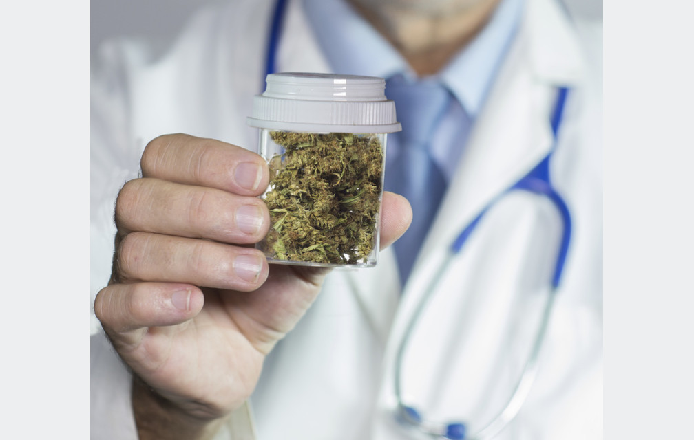 Le cannabis arrive bientôt dans les pharmacies uruguayennes !