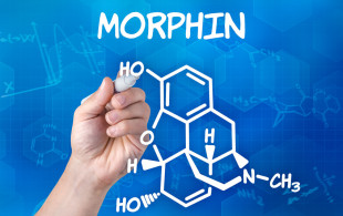 La morphine bientôt remplacée par un médicament sans effets secondaires ?
