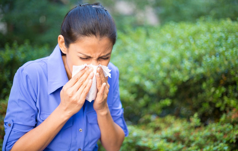 Allergies : les gestes qui limitent les risques