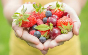 5 aliments pour prévenir la maladie d’Alzheimer