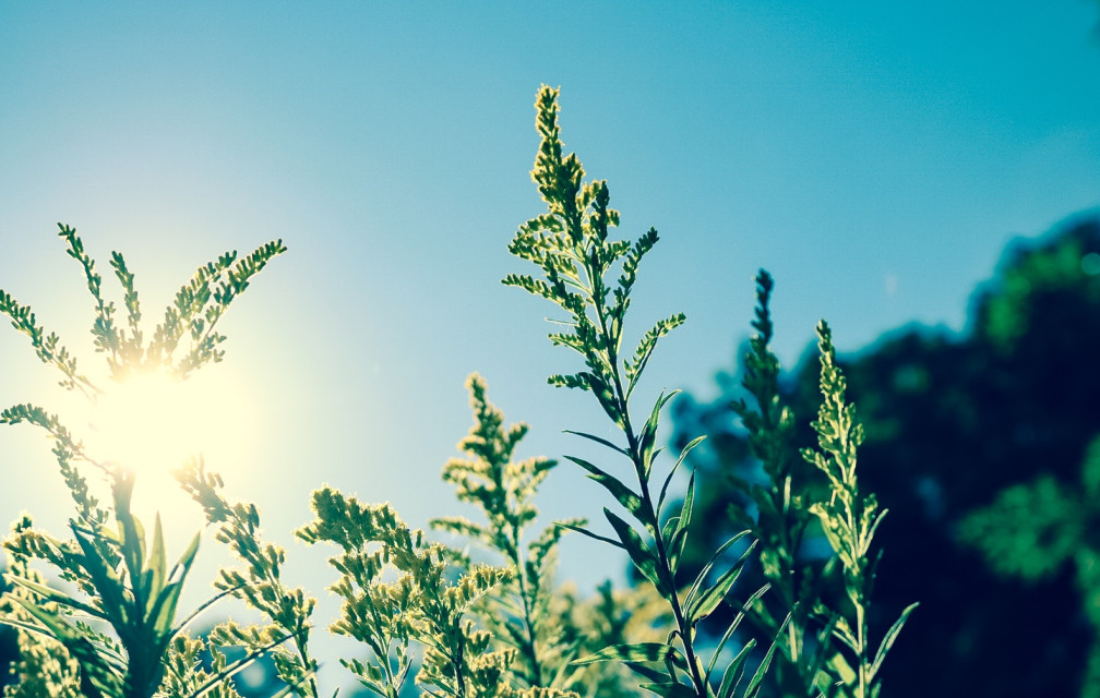 Canicule : quelques conseils pour vos patients !