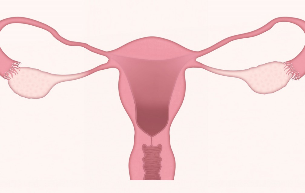 Le vaccin contre le cancer du col de l’utérus est « sûr et indispensable »