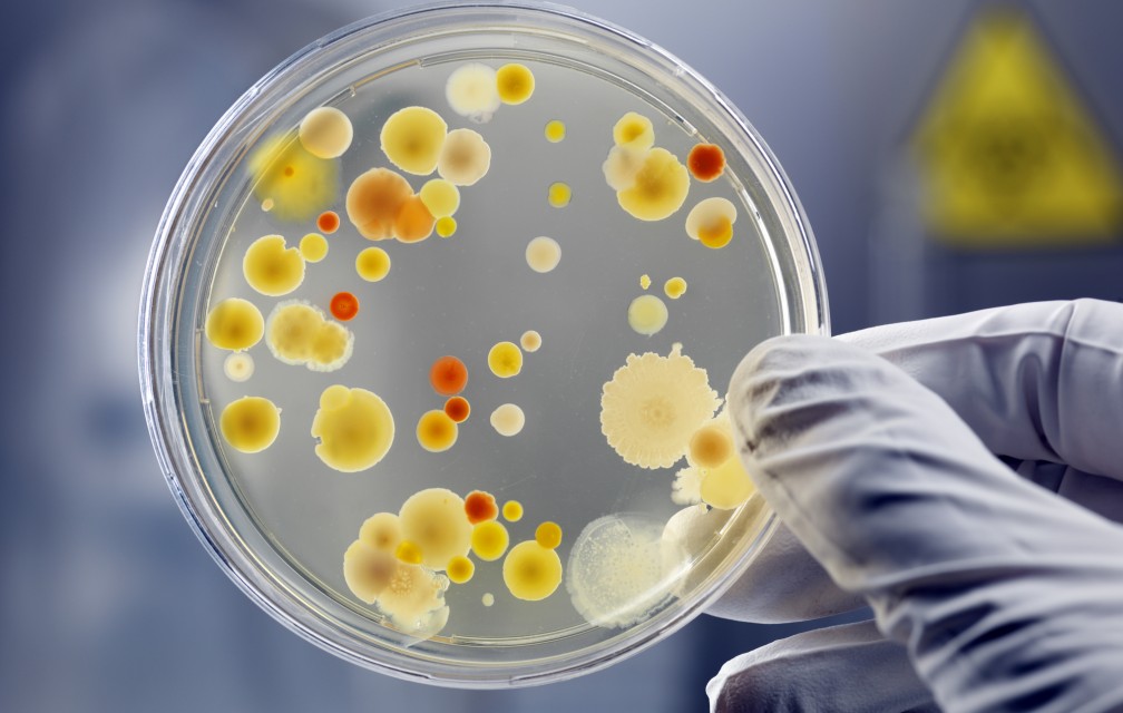 Une bactérie résistante aux antibiotiques se répand en Europe